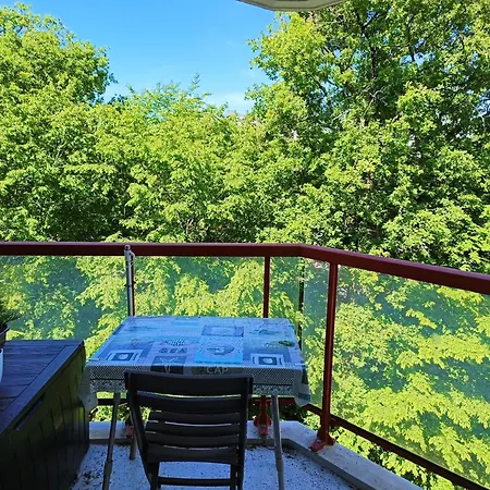Apartment Le Petit Nid Merignacais Merignac (Gironde)